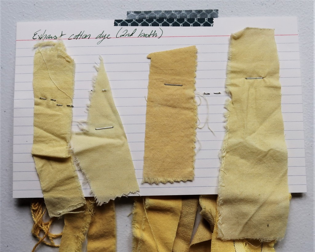 An index card on a white table. There are 4 fabric samples stapled to the card that were used in the turmeric exhaust dye bath. The second and fourth samples are a yellowing parchment color, the first is a light yellow, and the third is a yellowish tan color.