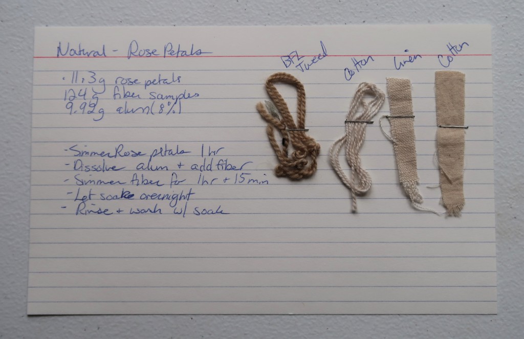 An index card on a white table. On the left, the information for the rose petal dye detailed on this web page is handwritten in blue ink. 

On the right is staples 2 yarn samples and 2 fabric samples. The BFL tweed sample is a medium brown. The cotton yarn, linen fabric, and cotton fabric are a very light brown.
